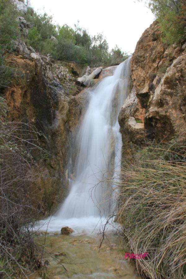 Alojamiento Aguasblanquillas Coto Rios Εξωτερικό φωτογραφία