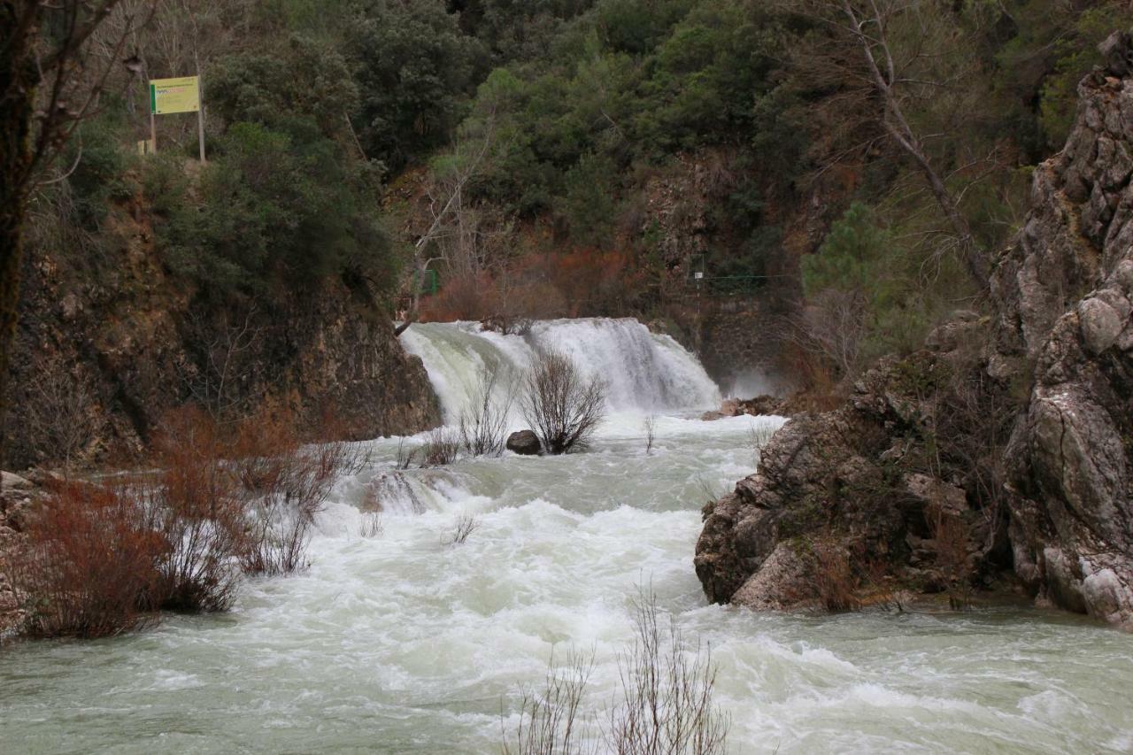 Alojamiento Aguasblanquillas Coto Rios Εξωτερικό φωτογραφία