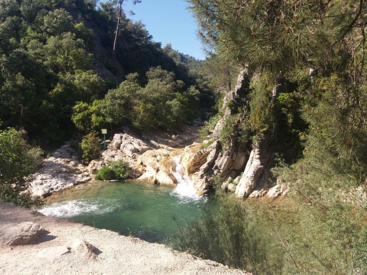 Alojamiento Aguasblanquillas Coto Rios Εξωτερικό φωτογραφία