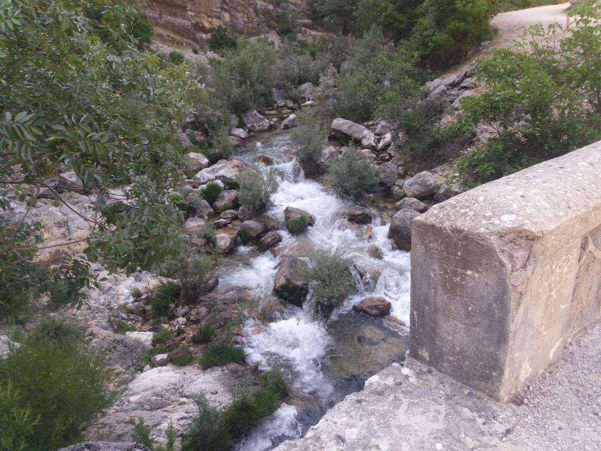 Alojamiento Aguasblanquillas Coto Rios Εξωτερικό φωτογραφία