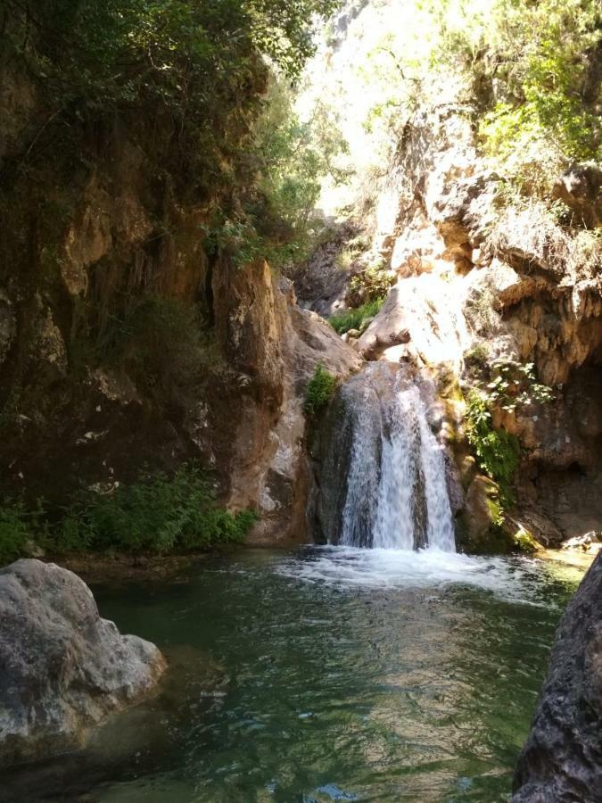 Alojamiento Aguasblanquillas Coto Rios Εξωτερικό φωτογραφία